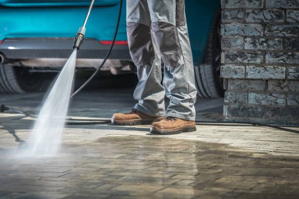 Best Factory Floor Cleaning  in Black River, NY